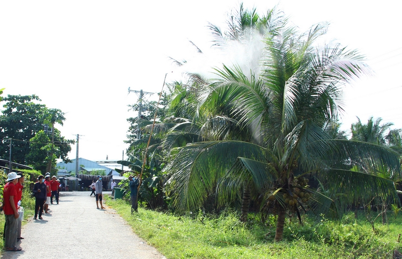 Phun thuốc phòng trừ sâu đầu đen gây hại trên cây dừa tại địa bàn xã Trung Thành Tây.