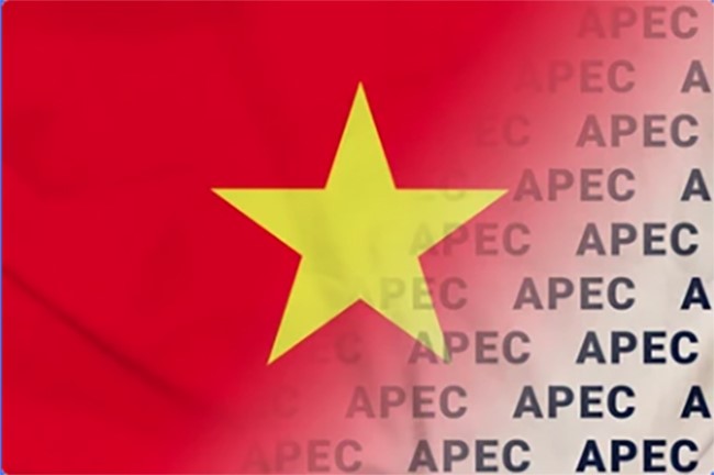 Sau 25 năm tham gia APEC, Việt Nam đã 2 lần đăng cai Tuần lễ cấp cao APEC vào các năm 2006 và 2017. Việt Nam là một trong những thành viên tích cực nhất trong đề xuất các sáng kiến và dự án, với hơn 150 dự án trên nhiều lĩnh vực, được các thành viên đánh giá cao. (Ảnh minh họa, nguồn: shutterstock.com)