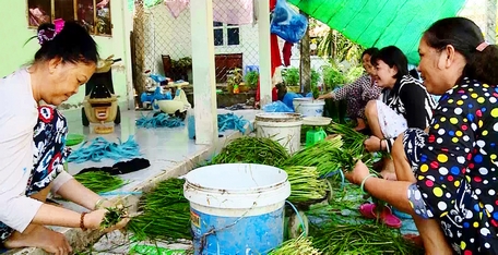 Nông dân trồng hẹ khá phấn khởi vì cây cho năng suất cao và bán được giá.