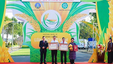 Xác nhận hai kỷ lục Việt Nam tại triển lãm Con đường lúa gạo Việt Nam - Ảnh: CHÍ CÔNG