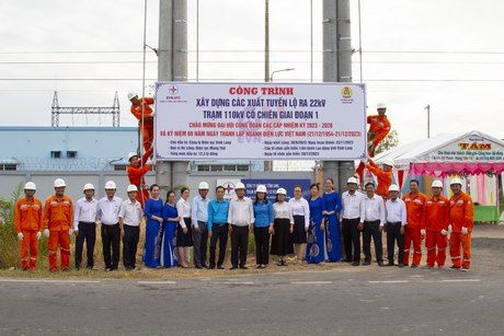 Lãnh đạo Công ty Điện lực Vĩnh Long và Lãnh đạo LĐLD tỉnh tham dự gắn biển công trình tại huyện Mang Thít