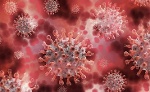 WHO cảnh báo 'bệnh X' nguy hiểm gấp 20 lần COVID-19, là bệnh gì?