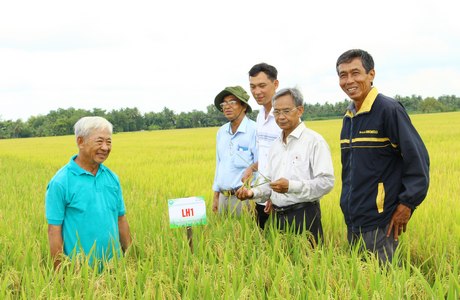 Ngành nông nghiệp đã tập trung xây dựng các vùng trồng lúa, nâng chất lượng giống lúa, góp phần nâng giá trị hạt gạo và tiến đến xây dựng thương hiệu gạo của tỉnh.