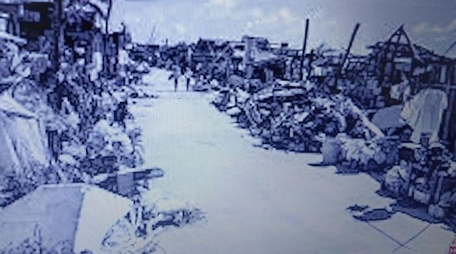 Làng mạc Gò Công tiêu điều chết chóc sau bão lụt. Ảnh: tư liệu