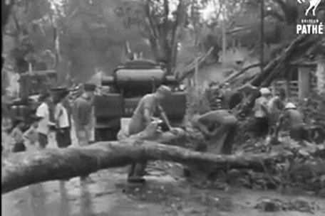Cây cối ngã đổ ở Sài Gòn trong bão lụt Năm Thìn. Ảnh: TL