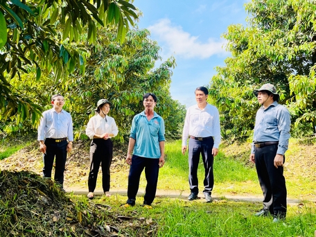 Huyện Bình Tân đã triển khai thực hiện 14 mô hình, dự án về nông nghiệp, trong đó có 11 mô hình, dự án trồng trọt và 3 mô hình, dự án chăn nuôi. 