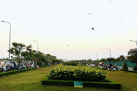 Vui thả diều, cần chú ý đảm bảo an toàn.