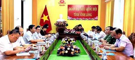 Đoàn Đại biểu Quốc hội đơn vị tỉnh Vĩnh Long tham dự phiên chất vấn và trả lời chất vấn. 