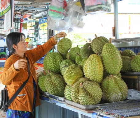 Nguồn cung sầu riêng tại chợ không nhiều do thương lái gom hàng đi xuất khẩu.