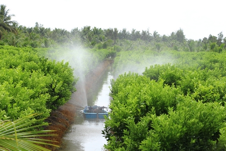 Người dân cần chủ động ứng phó, tăng cường áp dụng các biện pháp kỹ thuật canh tác để tiết kiệm nước.