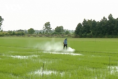 Người dân xã Phú Lộc chủ yếu sống bằng nghề sản xuất nông nghiệp