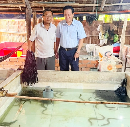 Mô hình nuôi lươn mang lại thu nhập khá cho nông hộ.