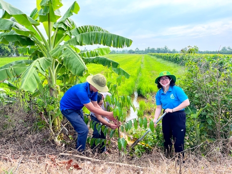 Bà Nguyễn Thị Minh Hạnh- Ủy viên Thường vụ Tỉnh ủy, Trưởng Ban Dân vận Tỉnh ủy trồng cây sao đen dọc tuyến ĐT 908.