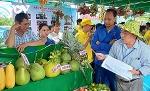 Hàng ngàn du khách tham dự Lễ hội trái cây sông nước miệt vườn Sóc Trăng