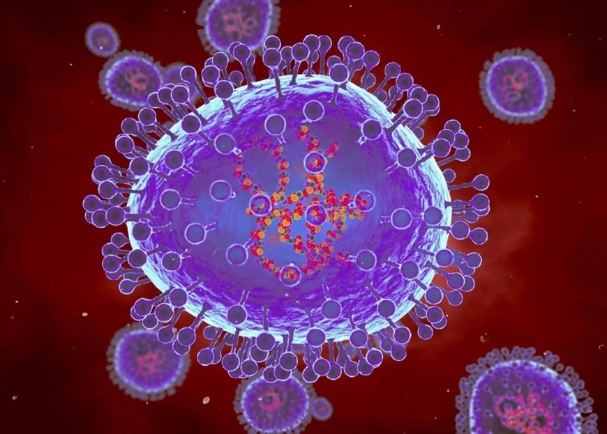 Minh họa máy tính về các hạt của metapneumovirus ở người (HMPV).