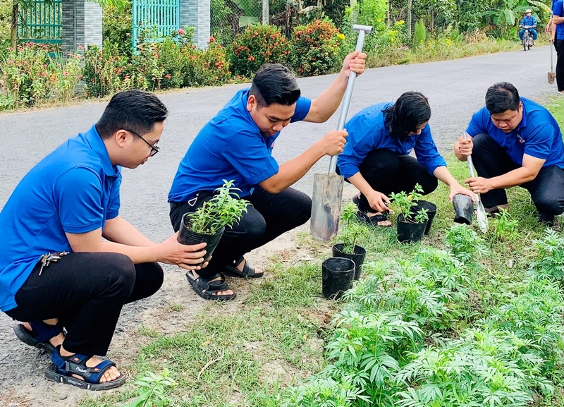 Tuổi trẻ huyện trồng tuyến đường hoa quỳnh anh ở ấp Long Tân.