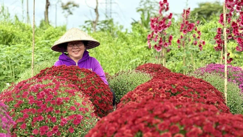 Người trồng hoa nâng niu từng nhánh hoa, gửi gắm vào đó cả tấm lòng.