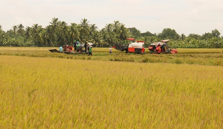 

Ngành nông nghiệp-PTNT và nông dân cần tăng tốc, bứt phá để tạo đà, tạo lực cho tăng trưởng 2 con số những năm tới. Ảnh: NGỌC LIỄU