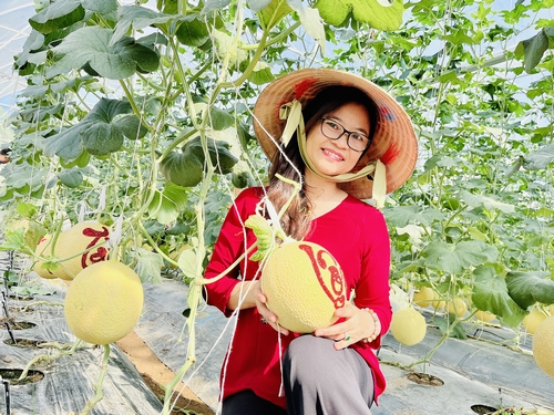 Những năm qua, sản xuất nông nghiệp của tỉnh Vĩnh Long đã có những bước phát triển mạnh mẽ.
