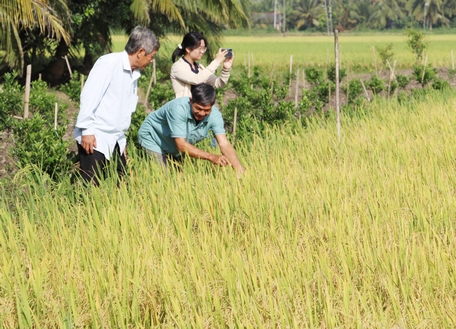 Nông dân dần nâng cao nhận thức, thay đổi tư duy, chuyển từ sản xuất nông nghiệp thuần túy sang làm kinh tế nông nghiệp.
