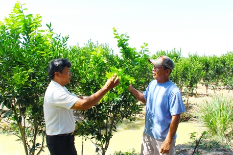 Tỉnh tập trung xây dựng phát triển ngành trồng trọt, hình thành vùng sản xuất tập trung đáp ứng nhu cầu thị trường. 
