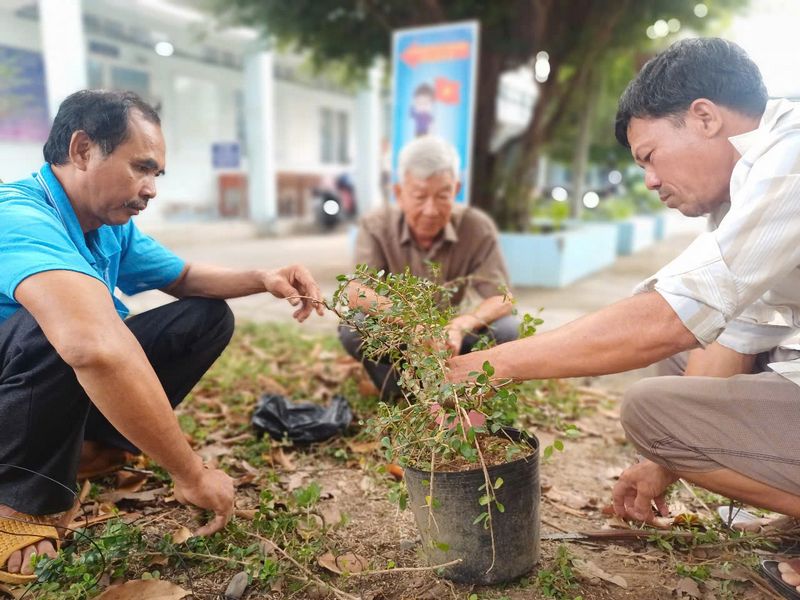 Các nghệ nhân chăm sóc, tạo dáng cho cây cảnh.