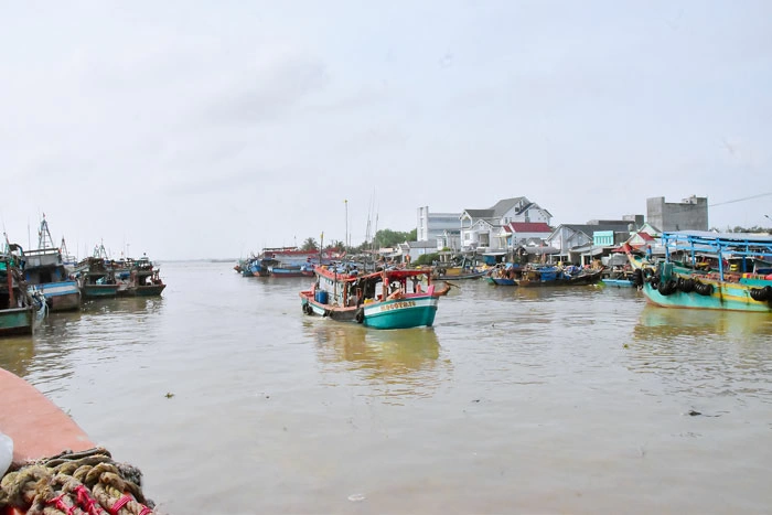 Liên Cảng cá Định An- Láng Chim tăng cường chống khai thác IUU