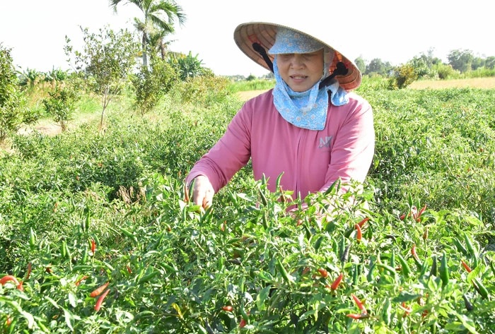 Quan tâm giải quyết việc làm cho lao động nông thôn