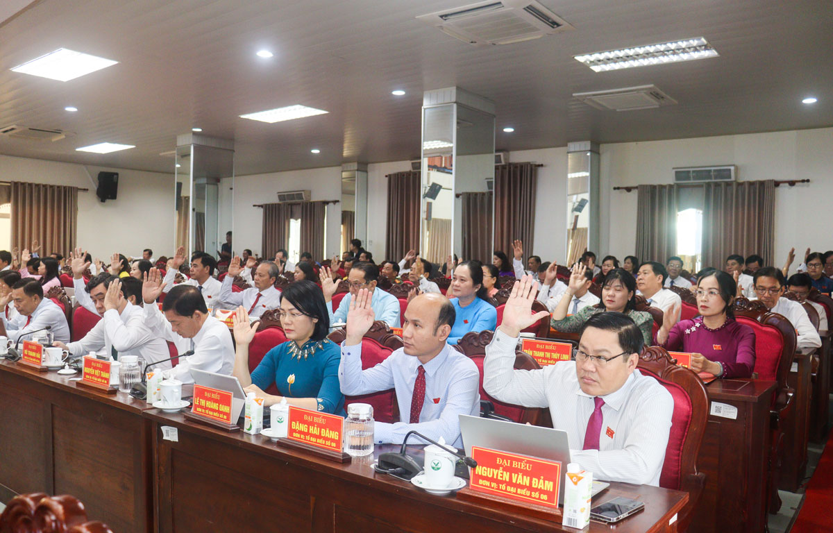Đại biểu biểu quyết thông qua các nghị quyết.