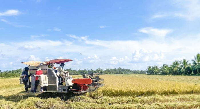 “Bức tranh toàn cảnh” phục vụ phát triển kinh tế- xã hội