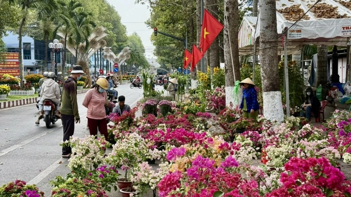 Bố trí hơn 800 lô kinh doanh tại Chợ hoa Xuân Tết Nguyên đán Bính Ngọ năm 2026