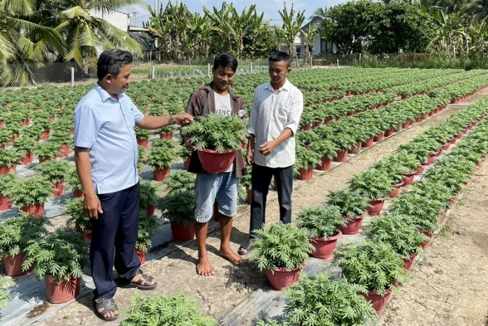 Nghị quyết Đại hội XIV: Niềm tin mới - Hành động mới ở vùng đồng bào Khmer