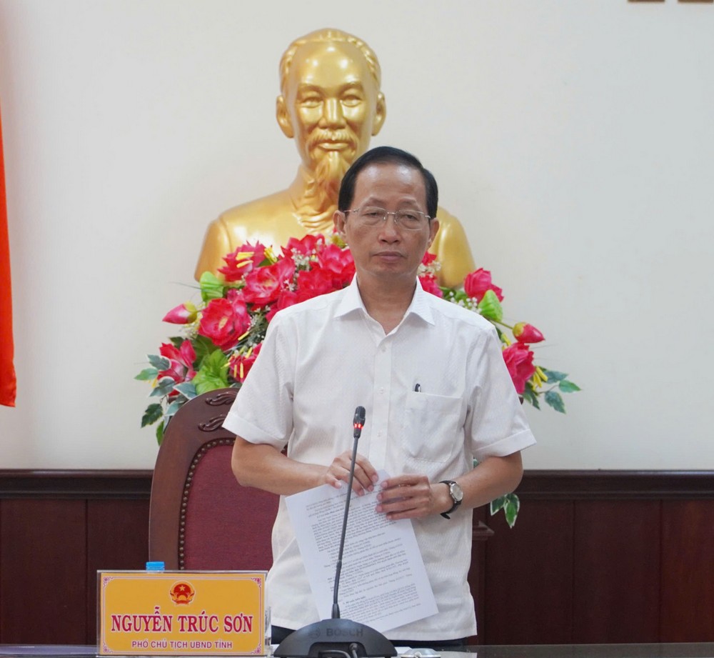 Phó Chủ tịch UBND tỉnh Nguyễn Trúc Sơn phát biểu chỉ đạo.