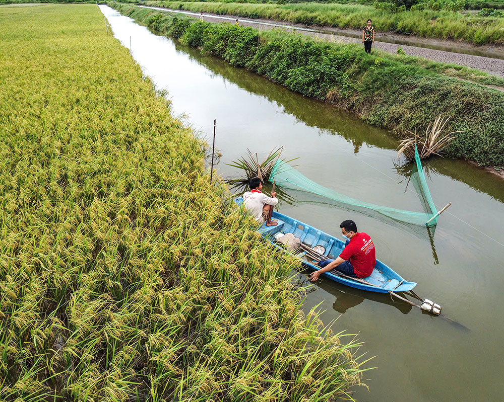 Kinh tế tập thể, HTX là động lực quan trọng cho phát triển bền vững.