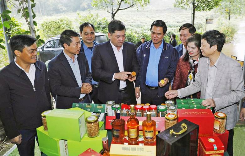 Đồng chí Nguyễn Hồng Thái, Bí thư Tỉnh ủy thăm Hợp tác xã Sâm núi Dành Đức Hạnh, xã Phúc Hòa. Ảnh: Thế Đại/Báo Bắc Ninh