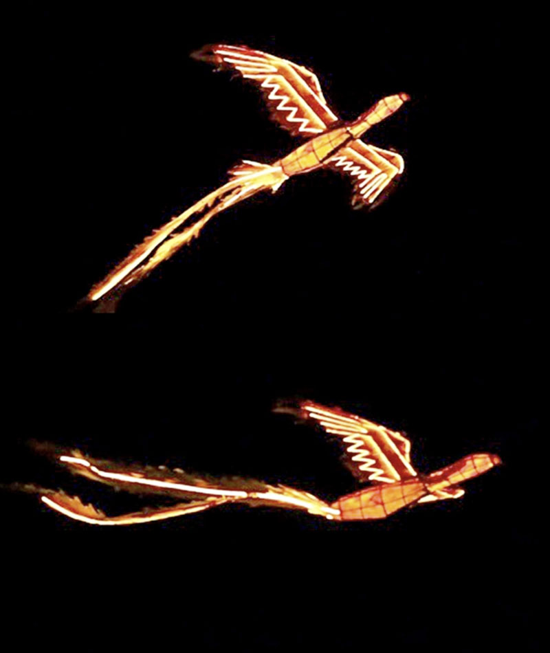 Mô hình rồng phượng bay đêm giao thừa - Ảnh: NVCC