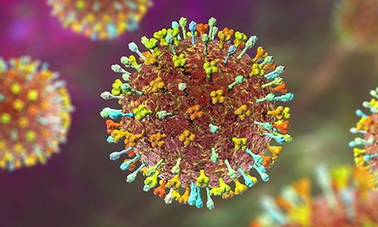 Nipah là một loại virus RNA thuộc họ Paramyxoviridae.