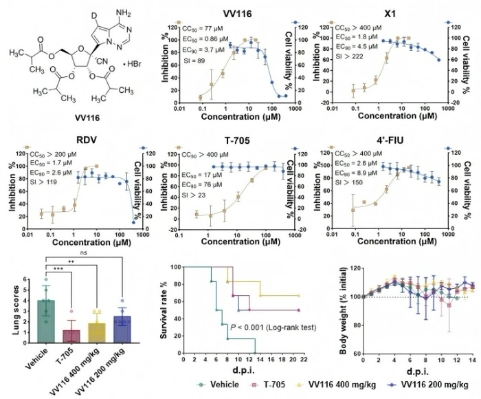 Trung Quốc phát hiện thuốc COVID-19 chống virus Nipah hiệu quả