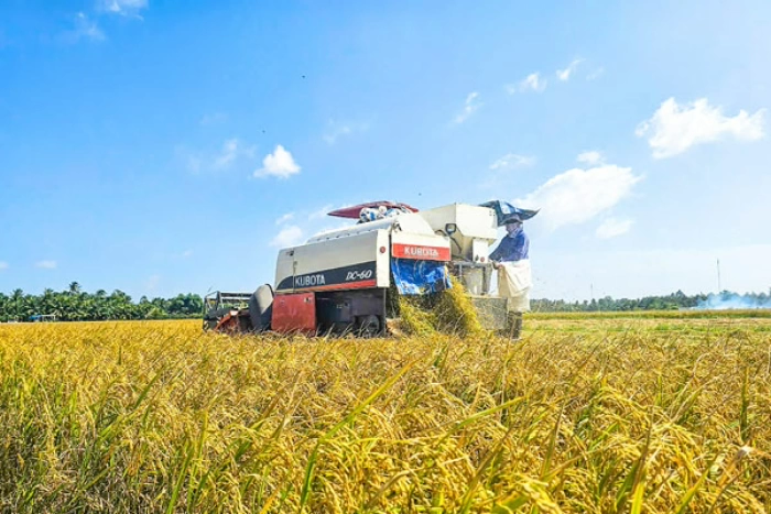 Nông nghiệp giữ vai trò trụ đỡ, phát triển khá toàn diện