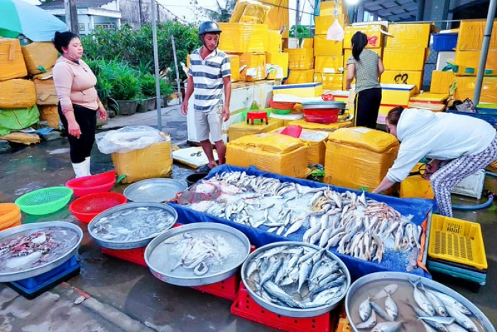 Quê biển Mỹ Long khởi sắc