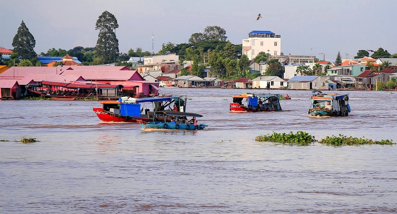 
Vào mùa nước nổi người dân lại cùng nhau xuôi ghe đánh bắt thủy sản về làm khô, làm mắm.