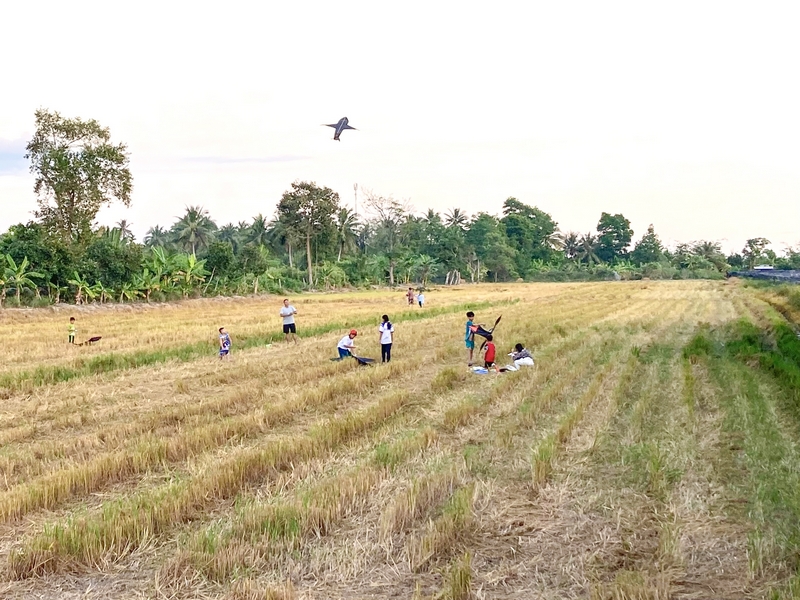 Trẻ nhỏ rủ nhau ra đồng đá banh, thả diều. Đây là thú vui bao đời của trẻ em vùng nông thôn sau mùa lúa tháng Giêng.