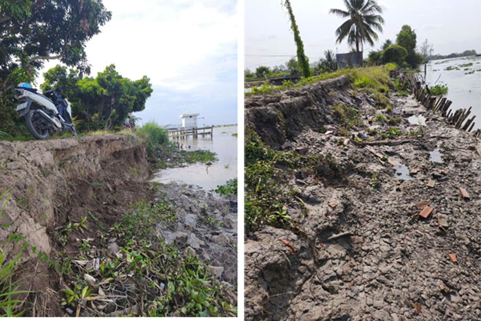 Bờ sông Cổ Chiên liên tiếp xảy ra sạt lở. Bờ sông Măng Thít bị sạt lở rất nặng.



