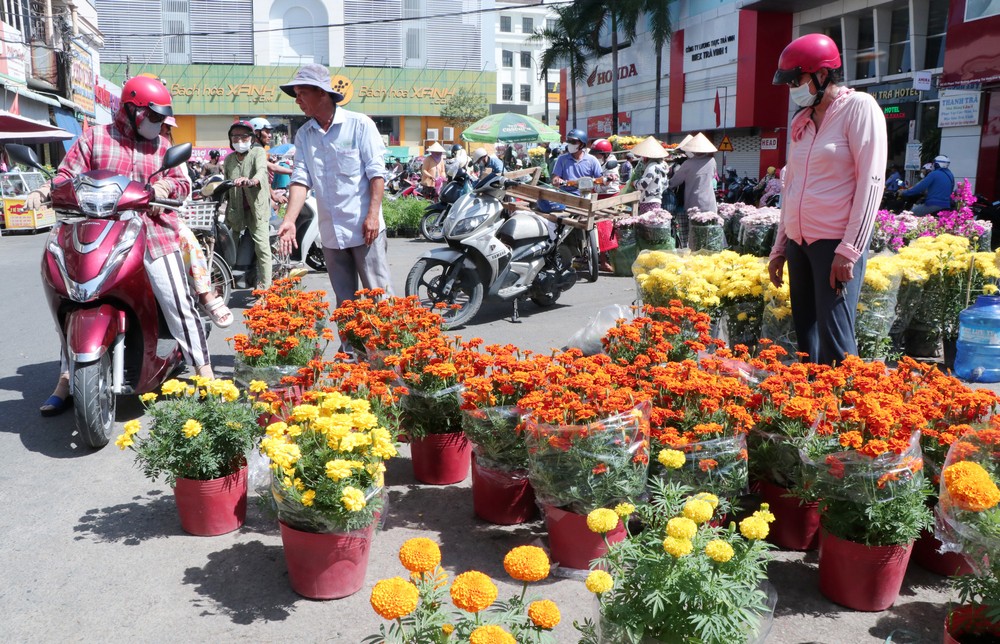 Các loại hoa truyền thống “hút khách” vào sáng 29 Tết.