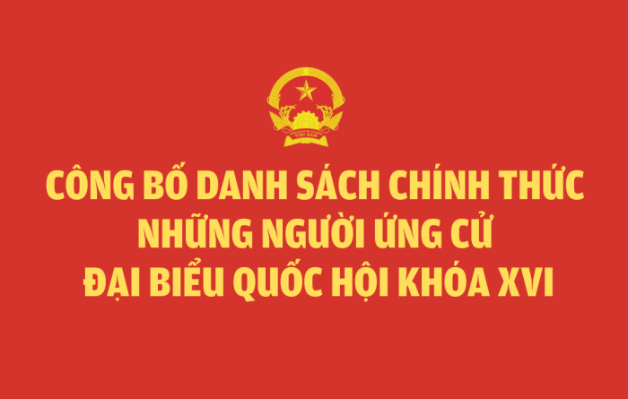 Công bố danh sách chính thức những người ứng cử đại biểu Quốc hội khóa XVI