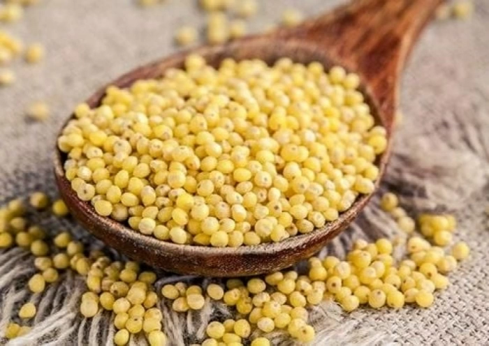 Hạt kê - Loại ngũ cốc nhỏ bé nhưng lợi ích không hề “nhỏ”