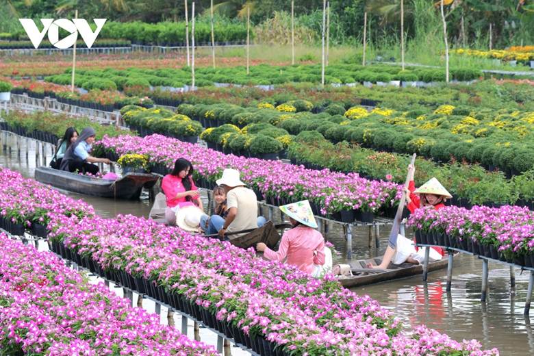 Làng hoa Sa Đéc (tỉnh Đồng Tháp) được mệnh danh là vương quốc hoa kiểng lớn nhất miền Tây.