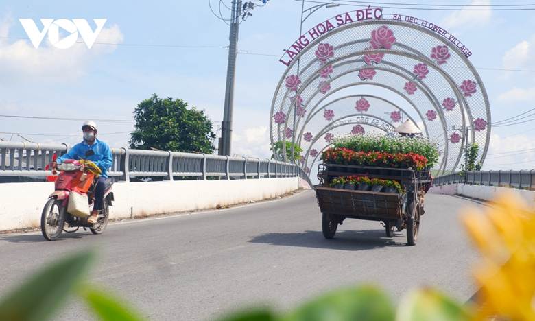 
Đường vào làng hoa Sa Đéc.