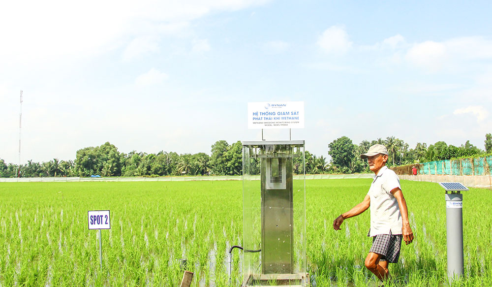 Ngành nông nghiệp chú trọng phát triển các mô hình kinh tế xanh, ít chất thải, các bon thấp. Trong ảnh: Nông dân thực hiện mô hình canh tác các bon thấp ở xã Hưng Mỹ.