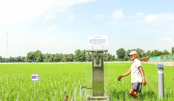 Thúc đẩy phát triển nông nghiệp xanh